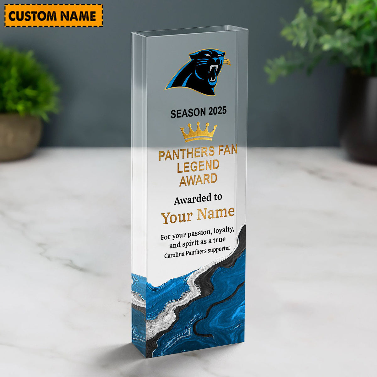 CP NFL Personalized Acrylic Award Plaque Funny Christmas Gift For Family